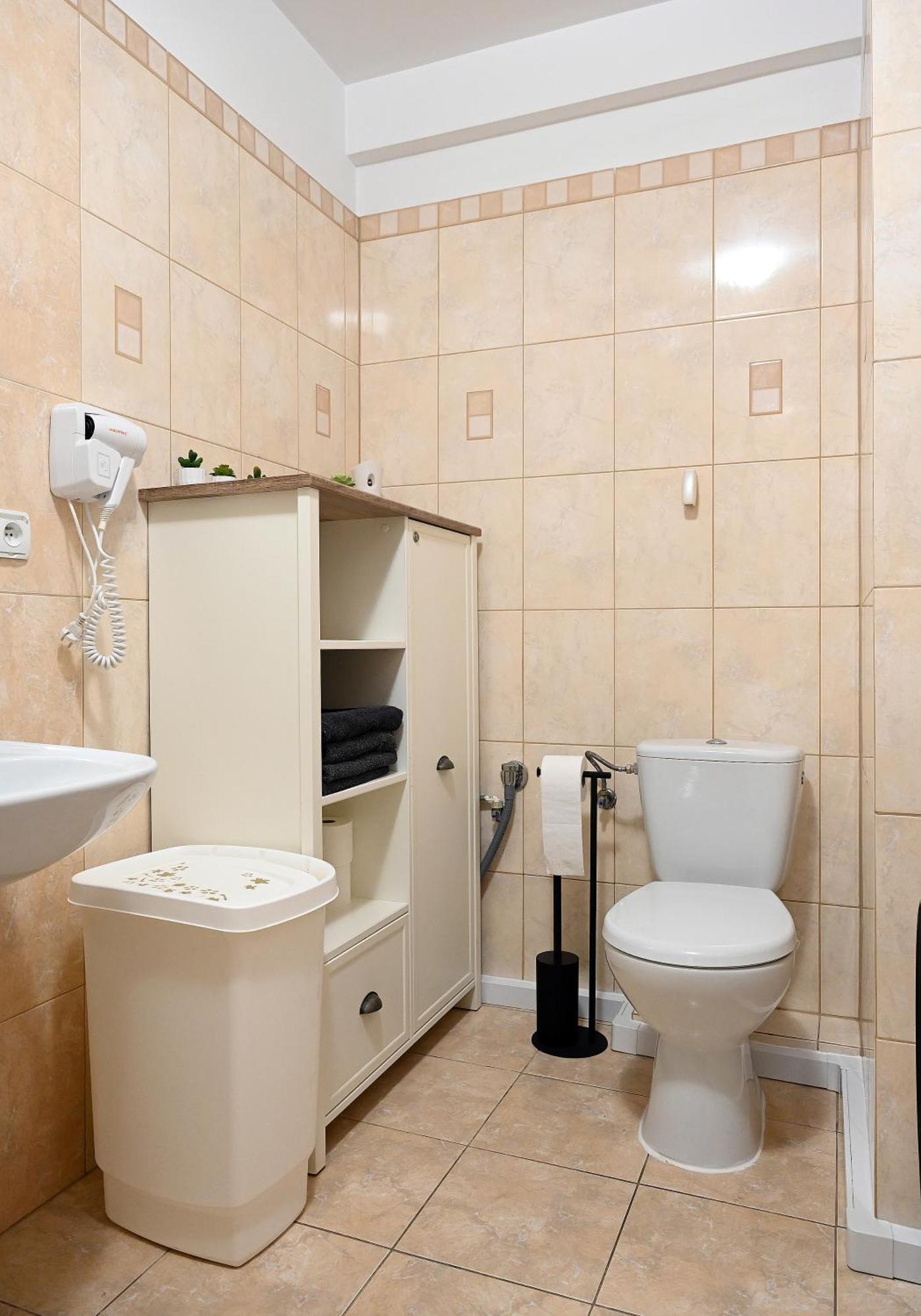 Szklarska Poreba Dwupoziomowy, Duzy Apartament Z Garazem I Sauna Dış mekan fotoğraf