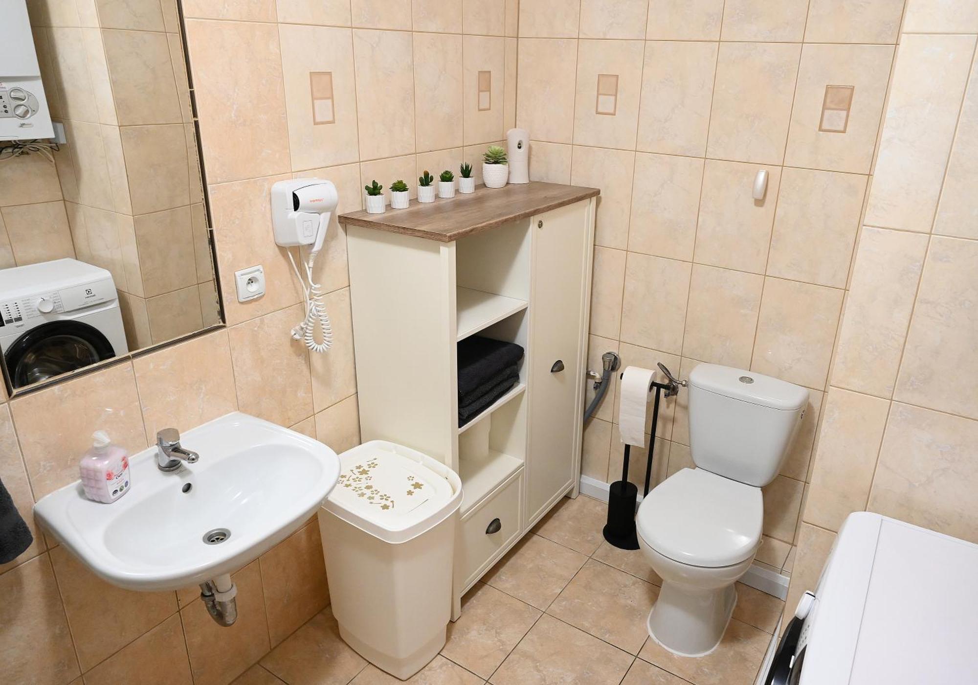 Szklarska Poreba Dwupoziomowy, Duzy Apartament Z Garazem I Sauna Dış mekan fotoğraf